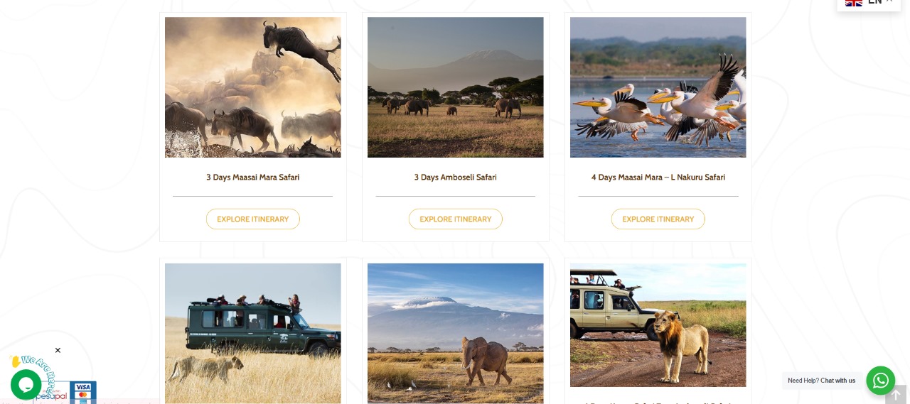 Types of Kenya Safari Packages
